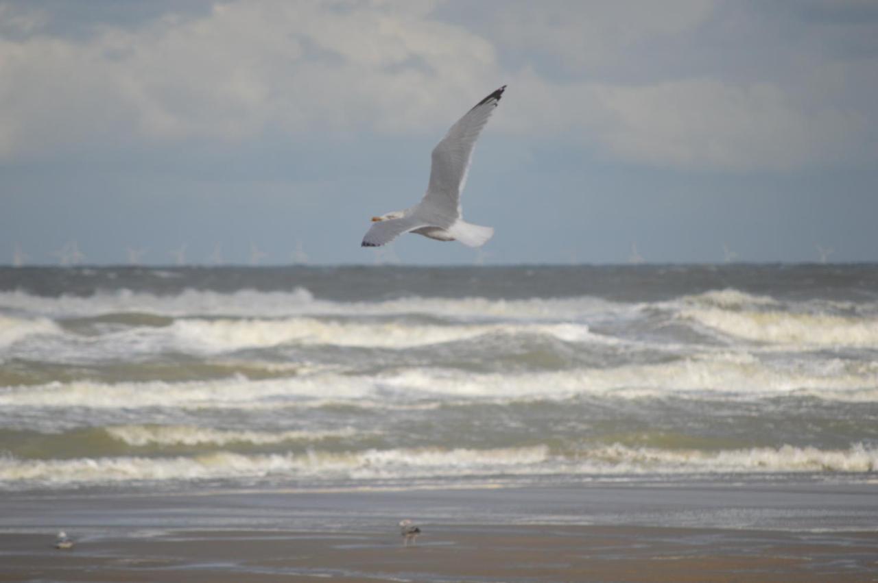 Huisjes Aan Zee De Haan Eksteriør bilde